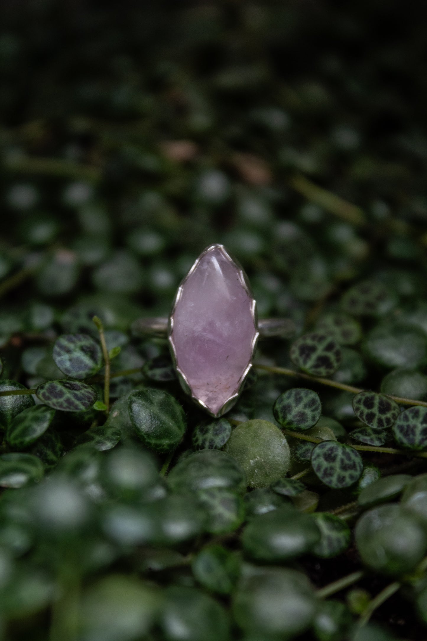 Lavender Jade Ring - Size 8