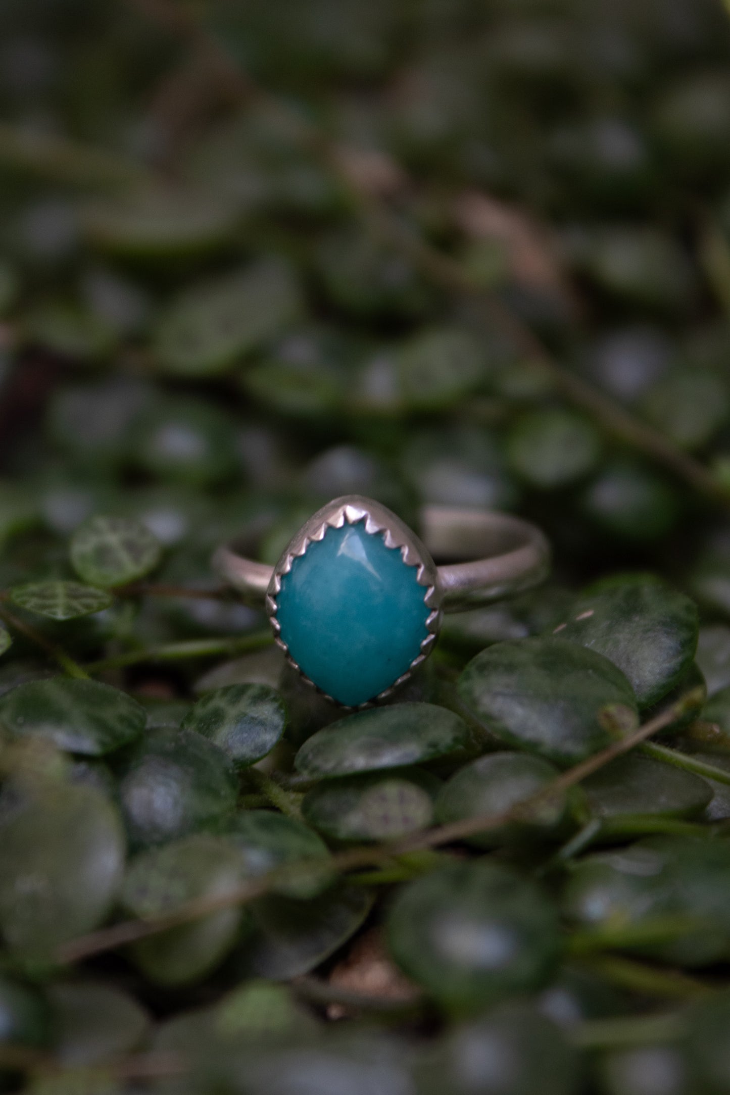 Amazonite Ring - Size 6