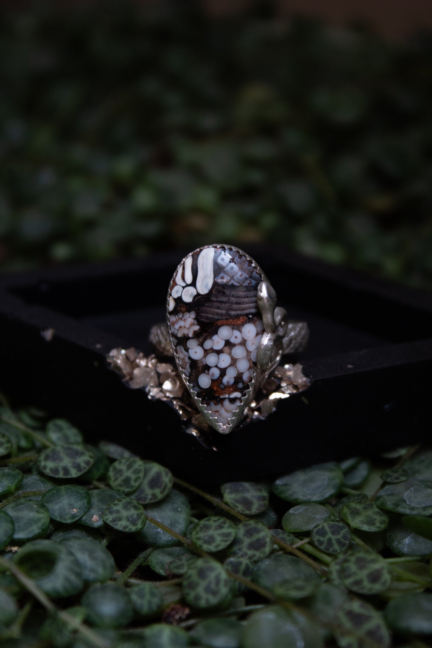 Snakeskin Jasper Ring - Size 9