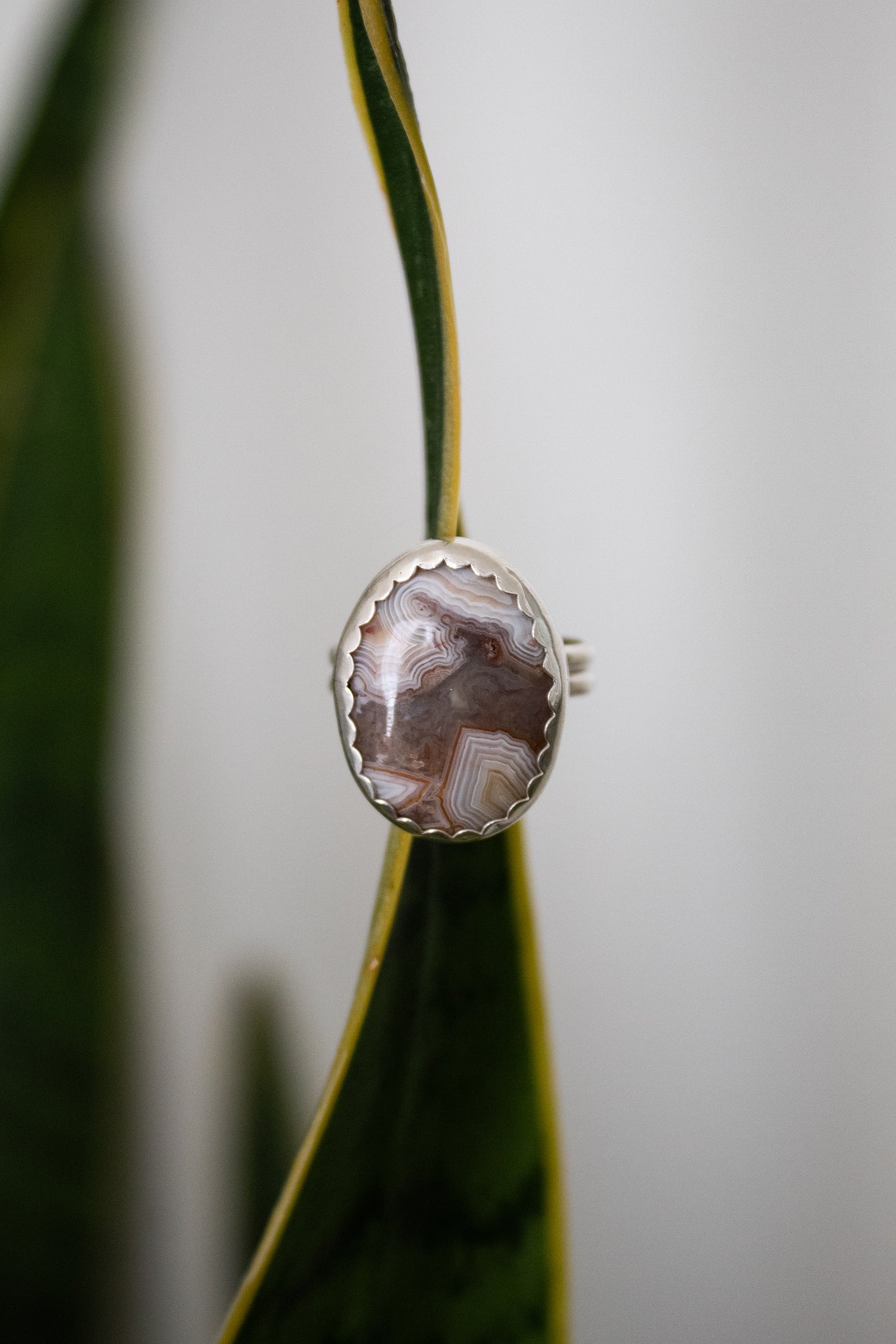 Sterling Silver Crazy Lace Agate Ring - Size 8.5