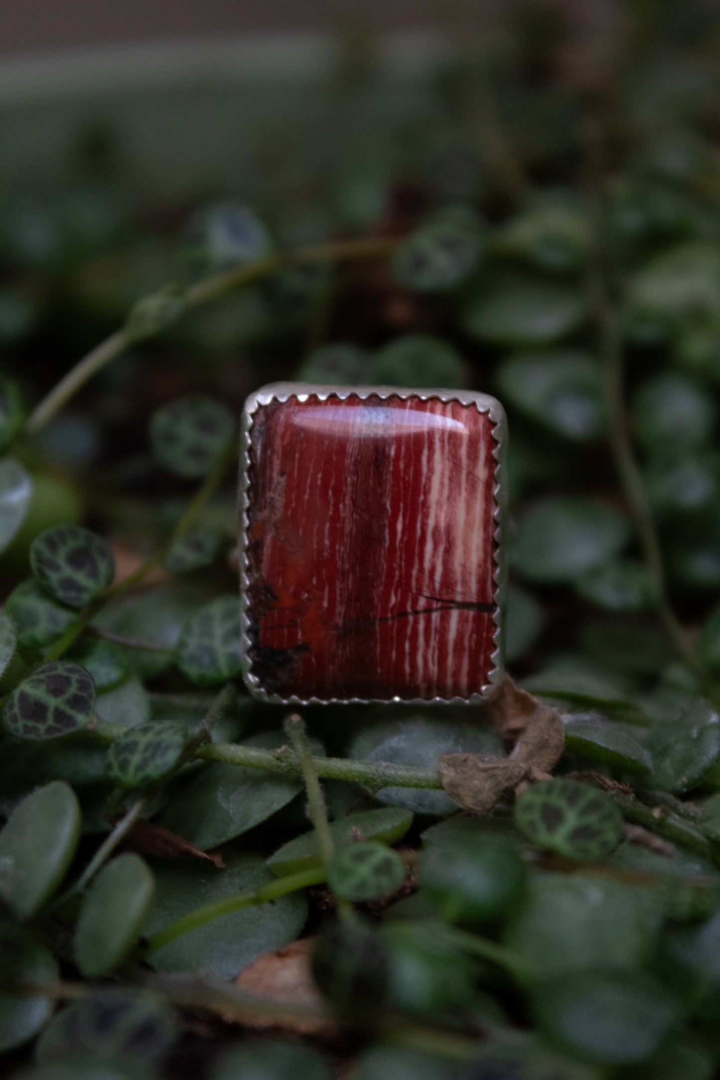 Sterling Silver Petrified Wood Ring - Size 6.5