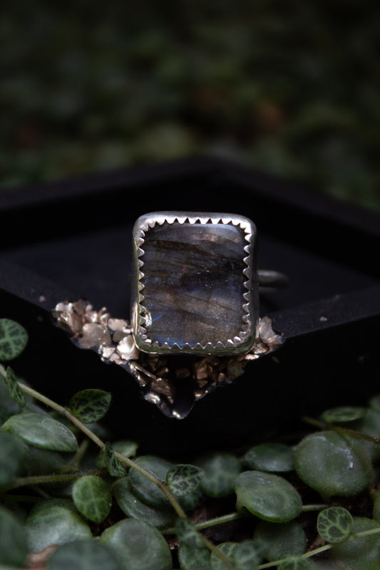 Labradorite Ring - Size 7