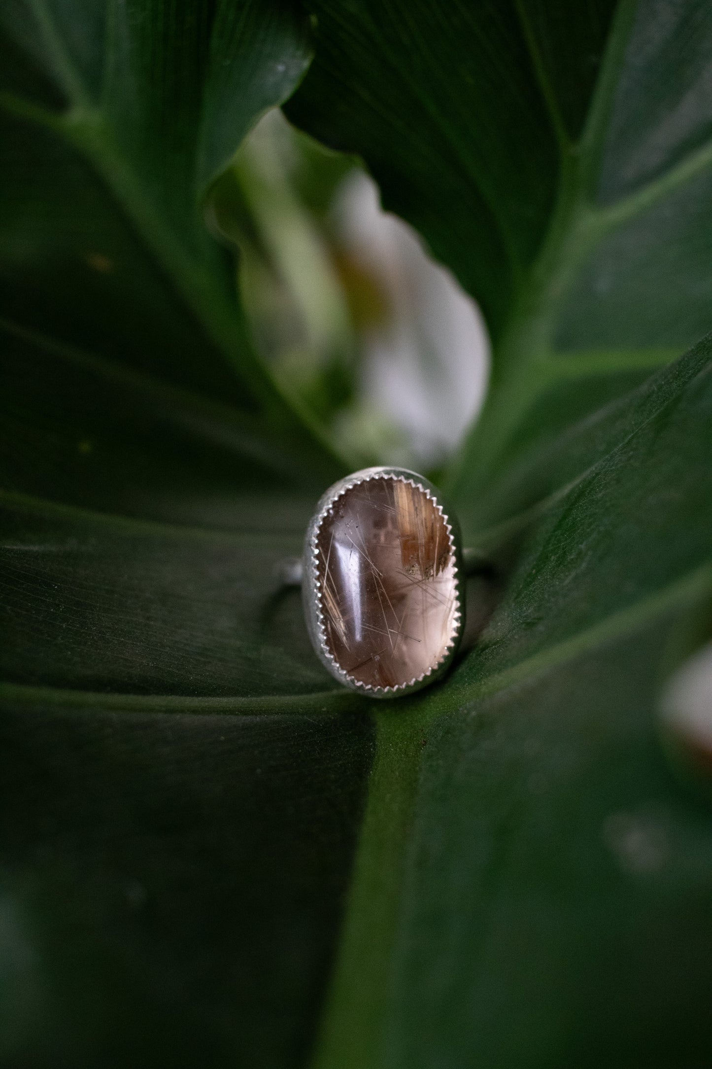 Sterling Silver Rutilated Quartz Ring - Size 10